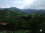 getImage