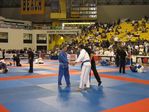 World Jiu-Jitsu arena 2007