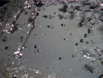 water_raindrop (25)