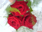 DSC02921