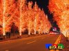 1230663300_Christmas_Night_view_11