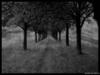 1.10041.bmp