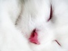 White_05