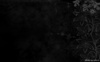 Black_27