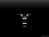 Black_25