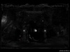 Black_03