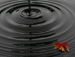 Black_20