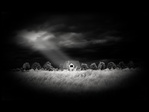 Black_16