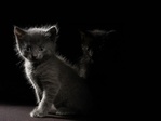 Black_06