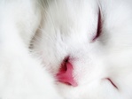 White_05