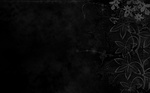 Black_27