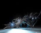 Black_01