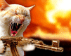 553454354.gif