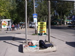 IMGP0630