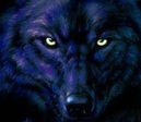 Black%20Wolf
