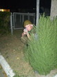 В засаде