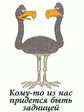 Pricol216_promobil.kiev.ua