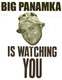 Big panamka