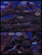 BBA_issue_2_pg_8_by_KayFedewa