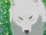 26395335_24943365_4455956_Jagara_i_volk