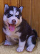 sCJGIzxIN0EtSu29skYsAAFQEHJfIMiOfHob5HH7h3Fg