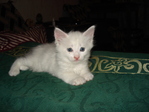 DSC00820
