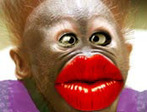 Kiss