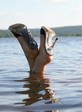 туфельки