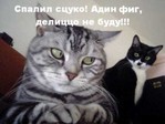 Фиг :)