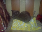 DSC00077