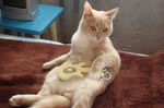 DSC00414