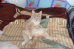 DSC00332