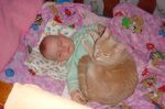DSC00559