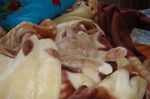 DSC00400