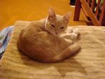 DSC00005