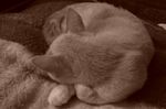 DSC00107
