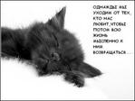 KlIHHc1DRCgqEHXmHz6ZgA2TtK3PHHEsQMmOG15iphg.jpg