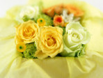 International_Womens_Day_Flowers_on_March_8_014443_