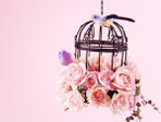 International_Womens_Day_Birds_and_flowers_on_March_8_014447_