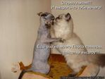 img_21120231_307_0