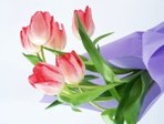 International_Womens_Day_Flowers_for_your_favorite_lady_014495_