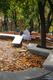 SC_2539.JPG