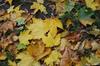 SC_2354.JPG