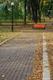 SC_2330.JPG