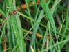 SC_4158.JPG
