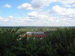 Брянский Лес )