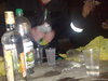 Pit bull439