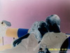 SSL13168.JPG