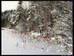 Просто зима)