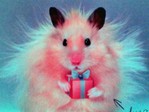 060227_222901